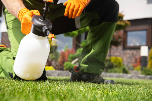 Best Mosquito Control Services  in Northglenn, CO