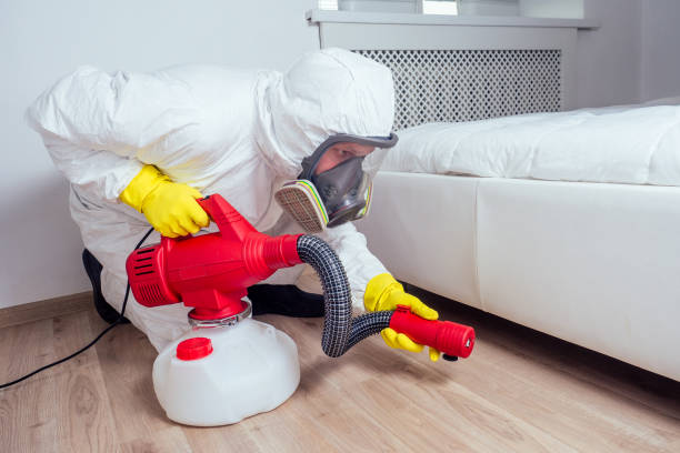 Best Best Pest Control Companies  in Northglenn, CO